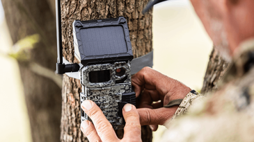 Save Up To $50 On Trail Cameras at Cabela’s Today