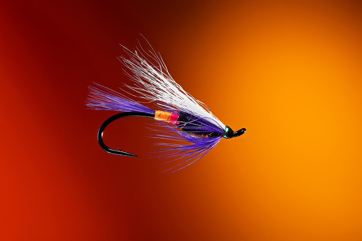 colorful wet fishing fly