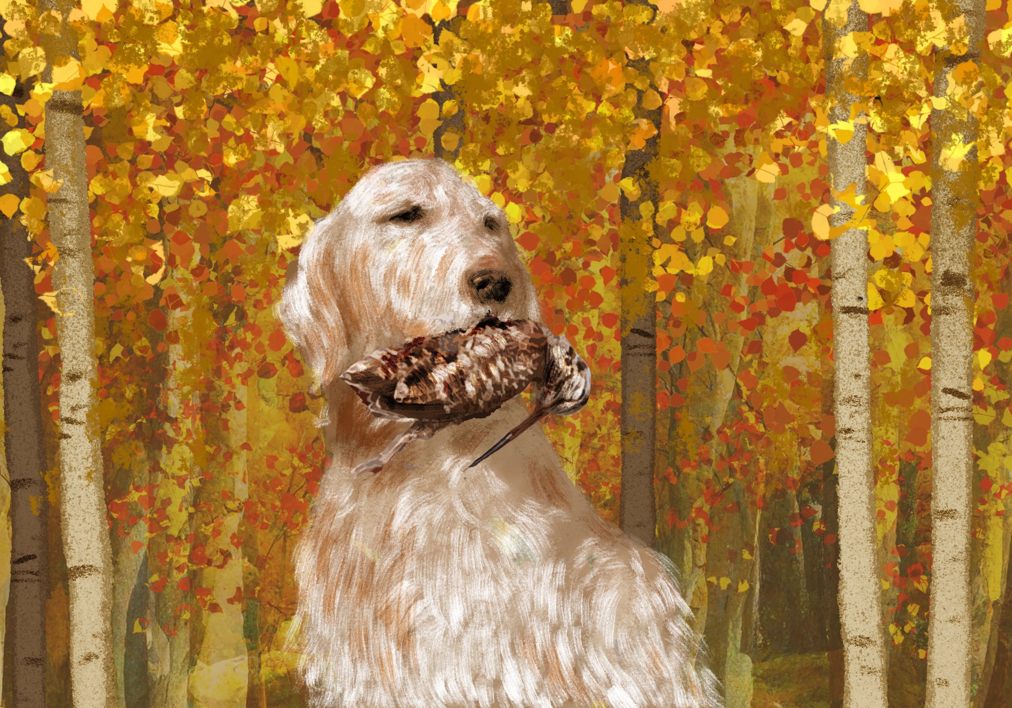 setter with woodcock in mouth illustration