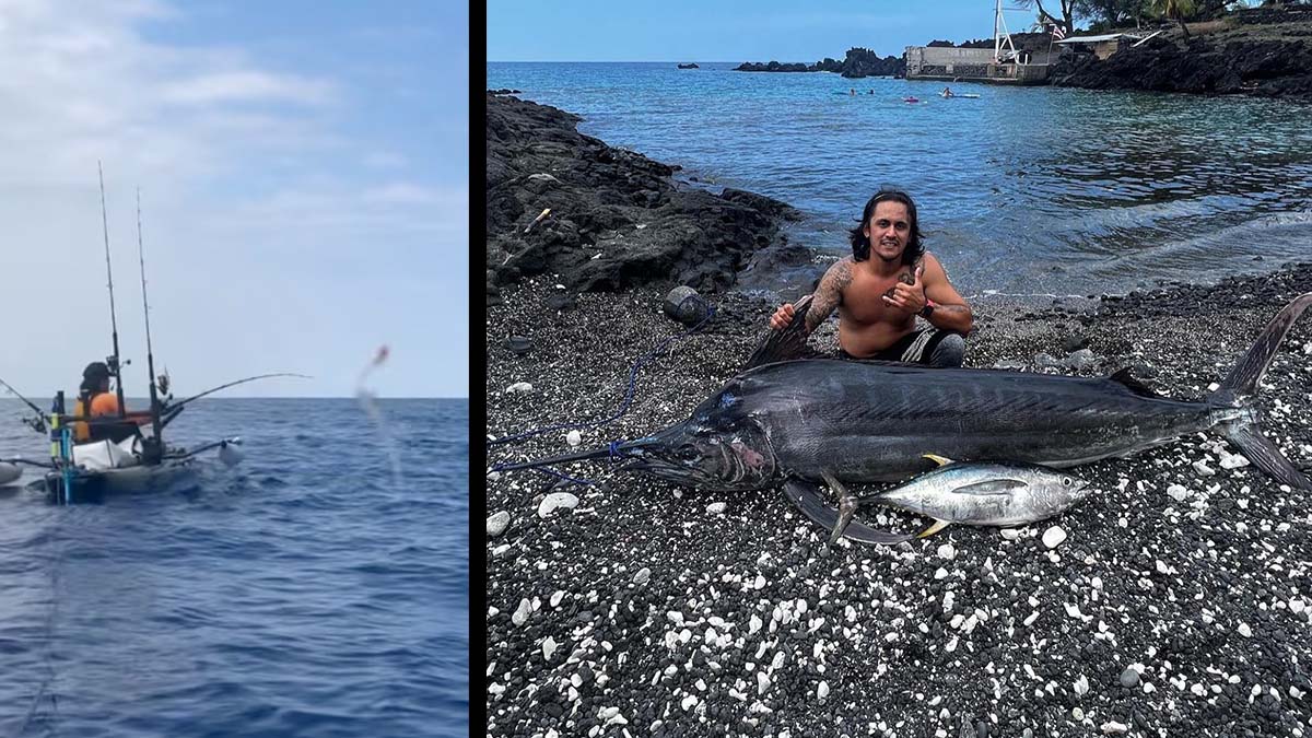 kayak angler catches large black marlin