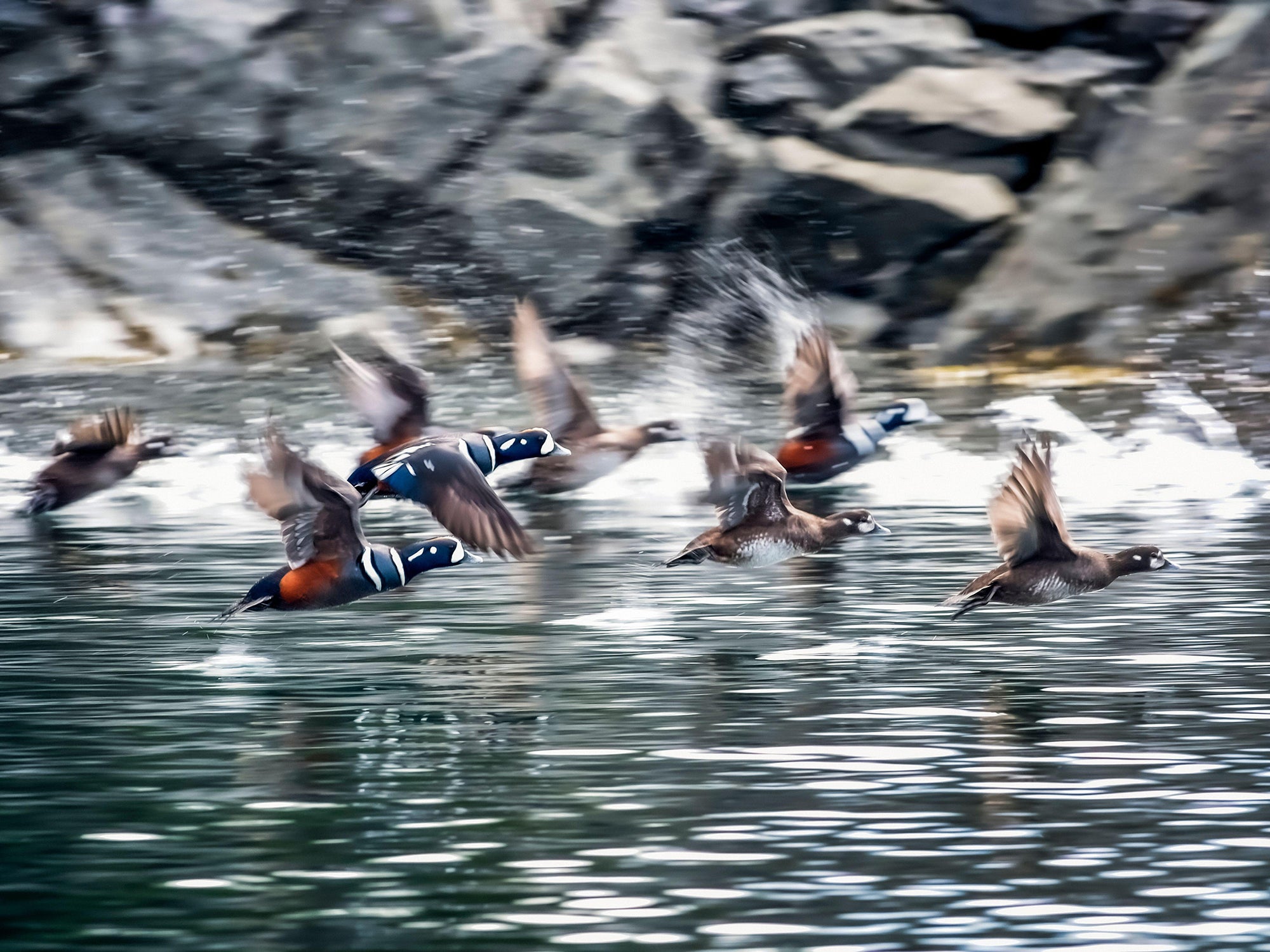 A Hunting Adventure for Sea Ducks in Alaska Field and Stream