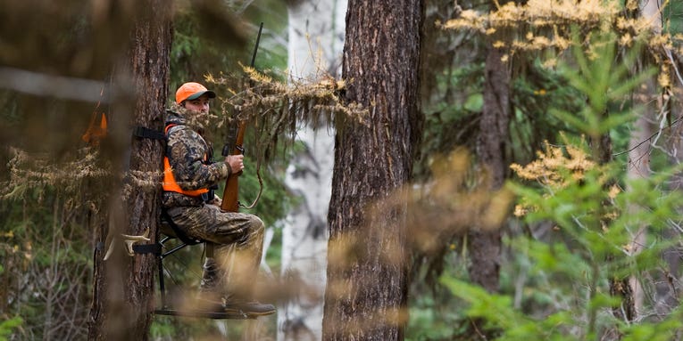 The Lost Art of Sitting Still in a Deer Stand