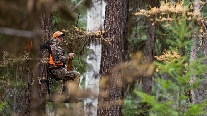 The Lost Art of Sitting Still in a Deer Stand