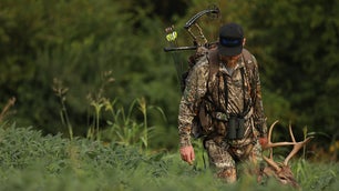 How to Be a Lights-Out Bow Shot All Season Long