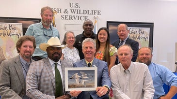 U.S. Fish and Wildlife Service Announces 2022 Federal Duck Stamp Art Contest Winner