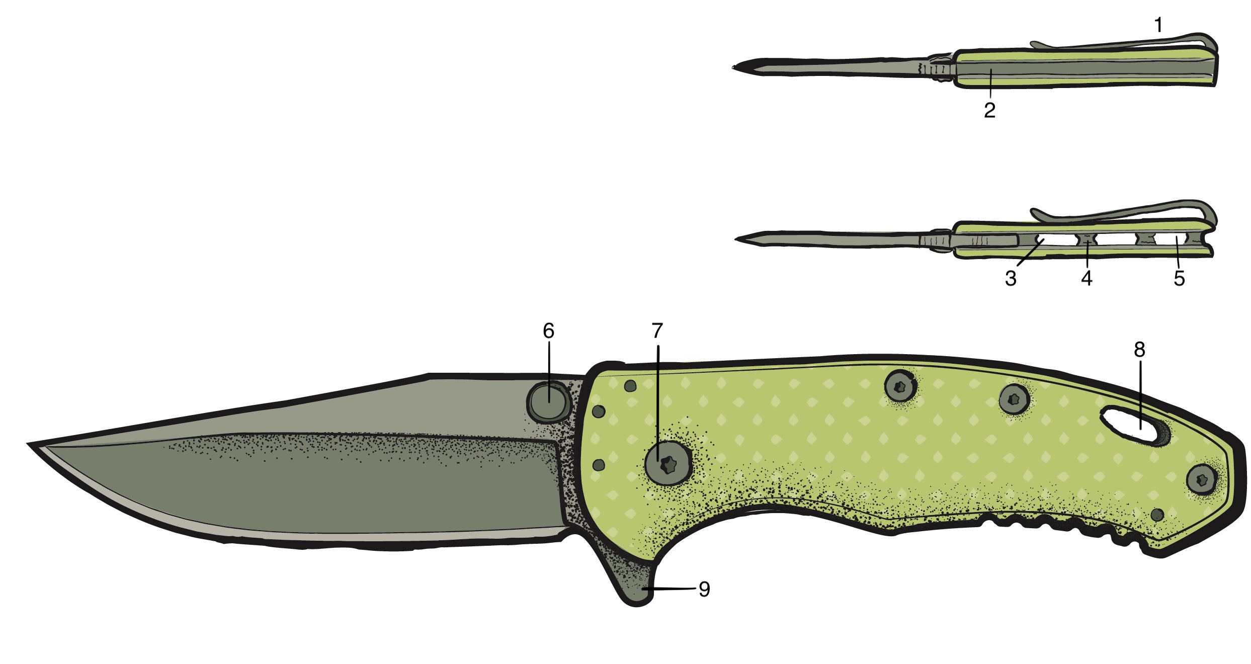 Illustration of a folding knife