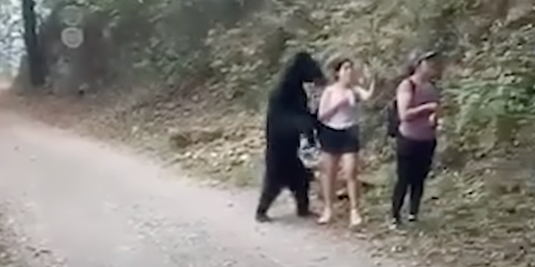 Watch a Woman Calmly Take Selfies While an Aggressive Black Bear Stands Just Inches Away