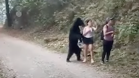 Watch a Woman Calmly Take Selfies While an Aggressive Black Bear Stands Just Inches Away