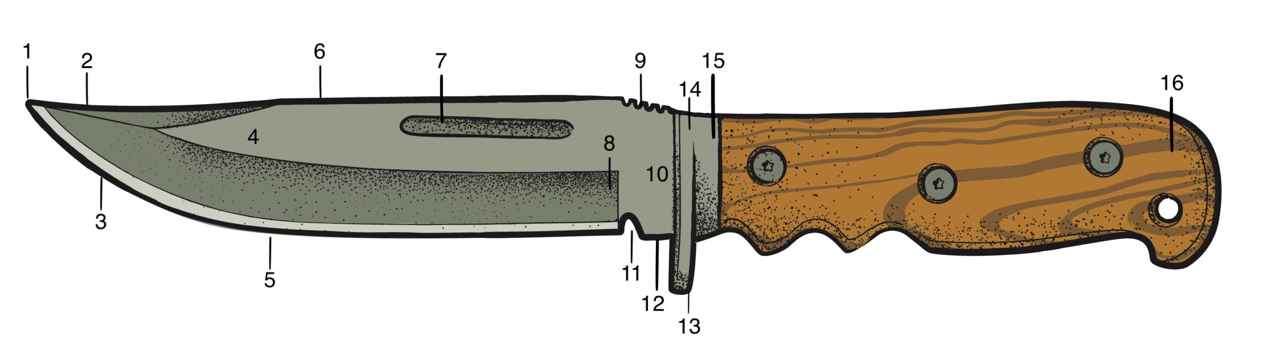 Parts of a fixed blade knife