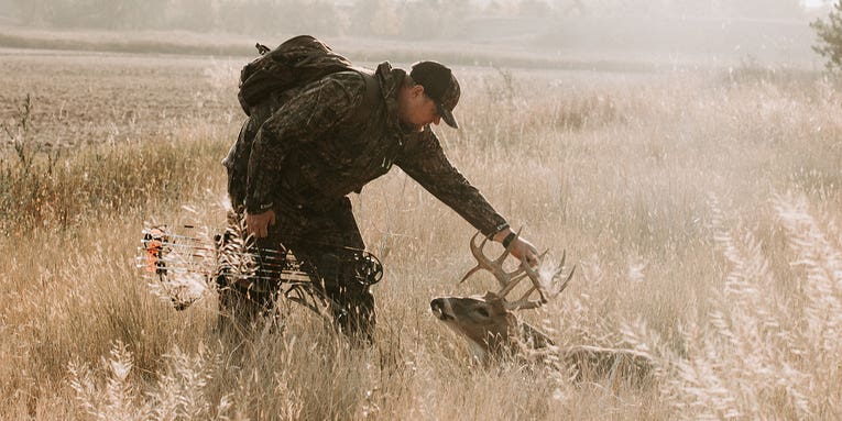 How to Bow Hunt Deer