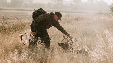 How to Bow Hunt Deer, a Complete Guide for Hunters at Every Level