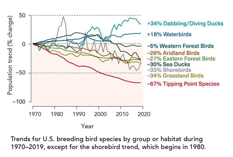 chart showing species population changes