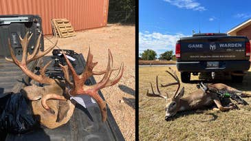 Two Big Bucks Poached During Opening Weeks of Oklahoma Archery Deer Season