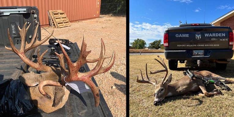 Two Big Bucks Poached During Opening Weeks of Oklahoma Archery Deer Season