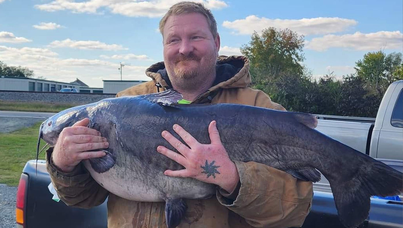 James Lord's 48-pound, 3.2 ounce blue catfish is the biggest ever recorded in state history