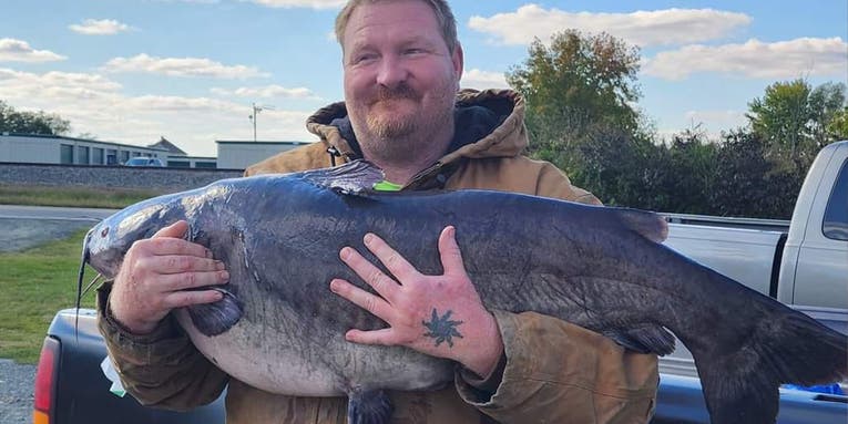Delaware Angler Catches Giant State Record Blue Catfish