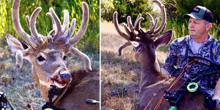 Bowhunter Arrows Extremely Rare Hermaphrodite Deer in Kansas
