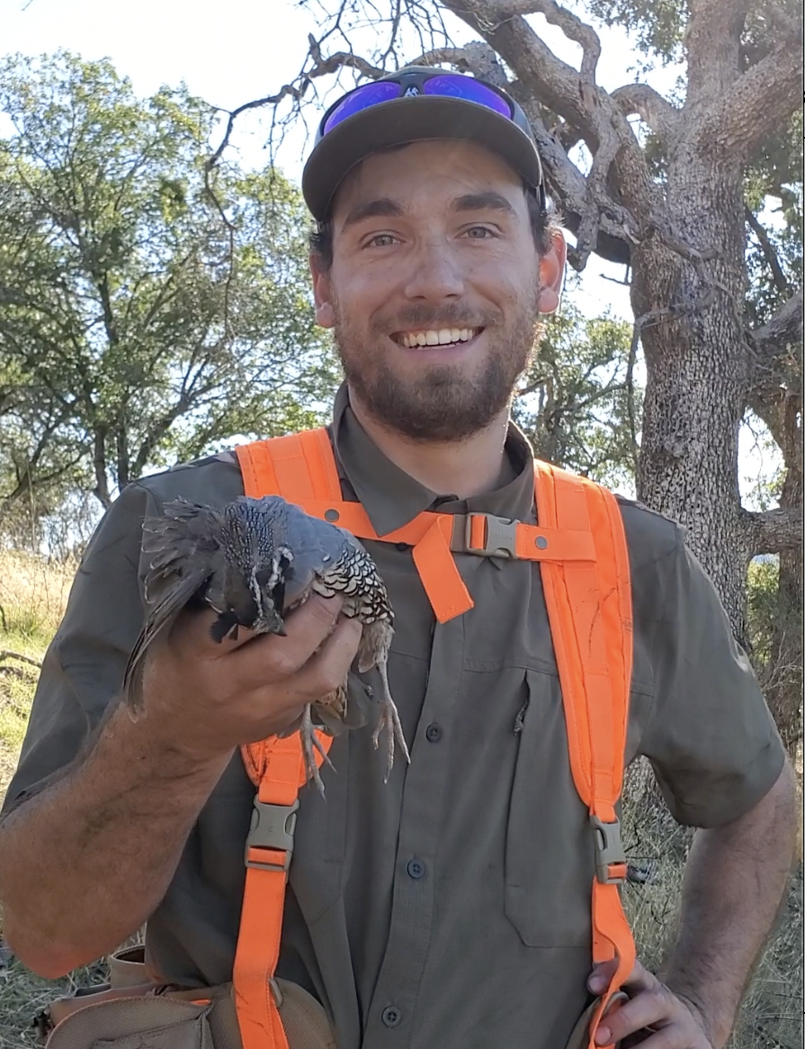 hunter holds California quail