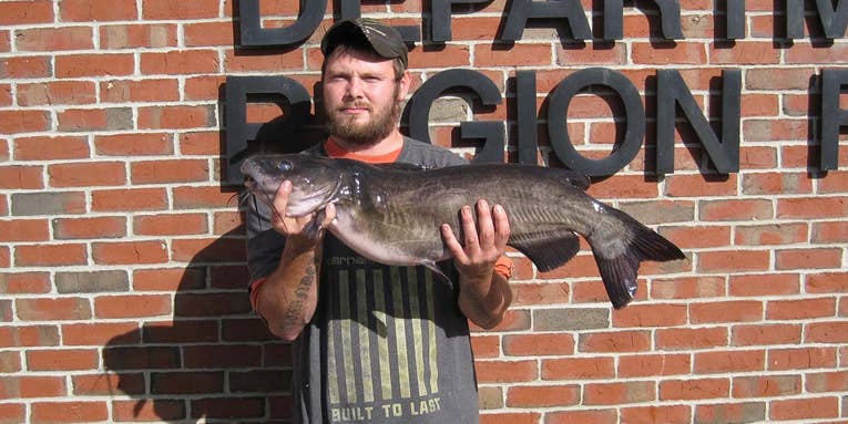 Angler Catches New Hampshire State Record Channel Catfish