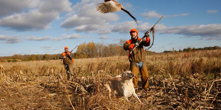 The 5 Most Common Shots at Pheasants, (and How to Make Every One of Them)