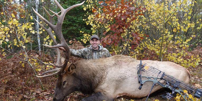 Wisconsin Hunter Bags State’s First Archery Elk in Modern History