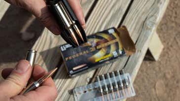 The Most Influential Rifle Cartridges Ever Made