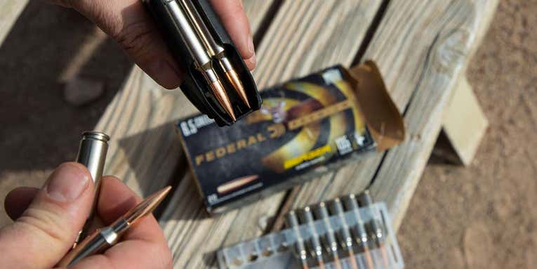 The Most Influential Rifle Cartridges Ever Made
