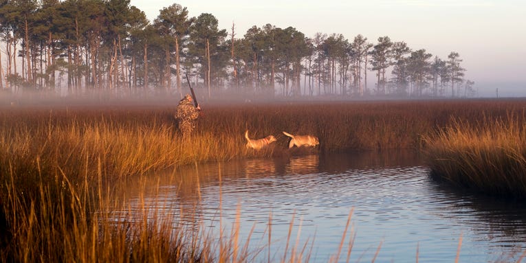 The 5 Most Legendary Waterfowl Destinations in America