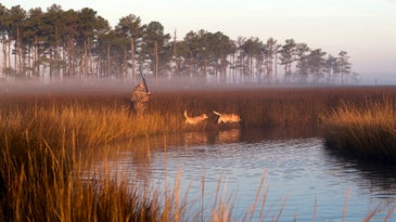 The 5 Most Legendary Waterfowl Destinations in America