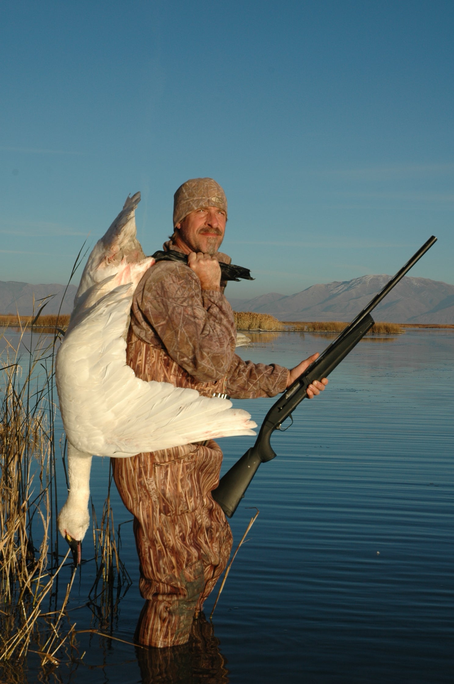 Man holding a dead tundra swan.