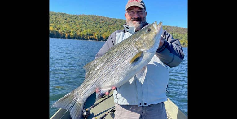 New Jersey Angler Catches State Record 16-Pound, 10-Ounce Wiper