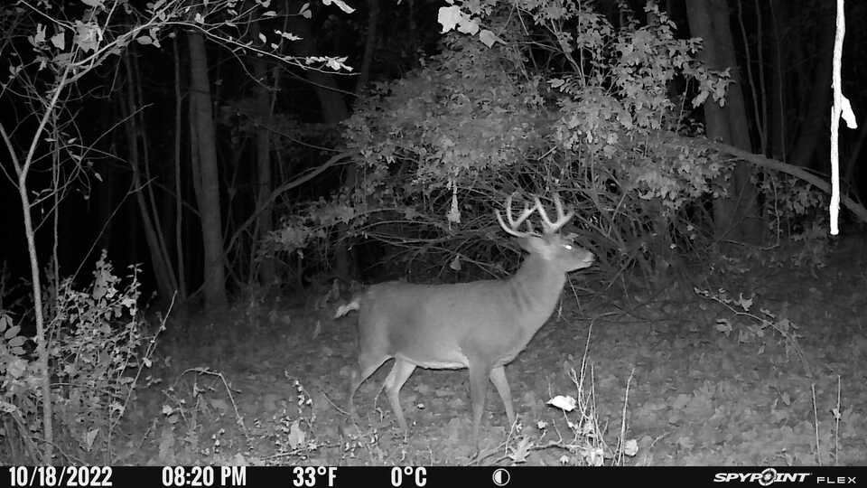 The Best Cellular Trail Cameras of 2023