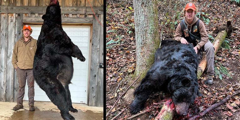 21-Year-Old Hunter’s 695-Pound Black Bear Confirmed as Western North Carolina Record