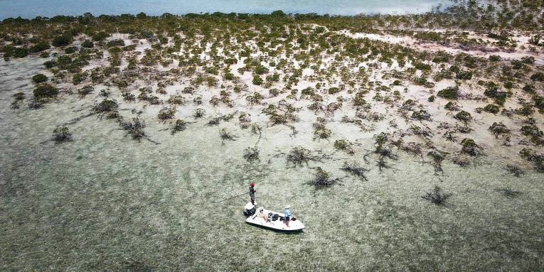 Nervous Waters: The Fight to Save Andros Island’s Legendary Bonefish Flats