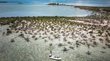 Nervous Waters: The Fight to Save Andros Island's Legendary Bonefish Flats