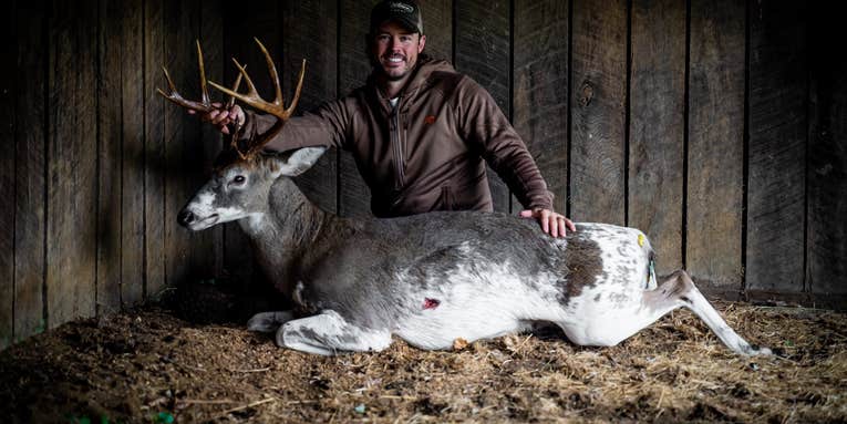 New Jersey Hunter Tags Remarkable 10-Point Piebald Buck