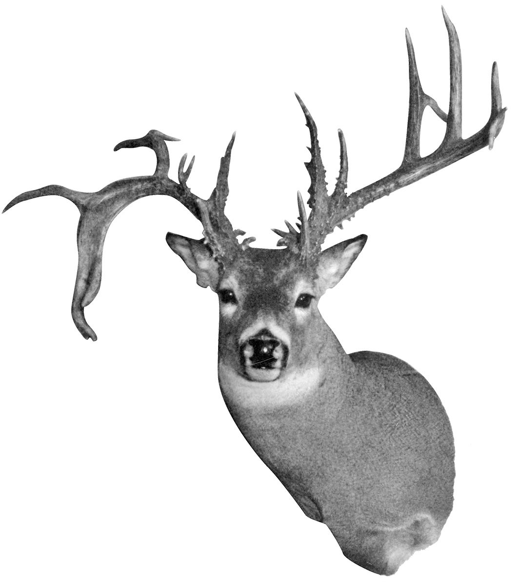 Record non-typical whitetail from ID.