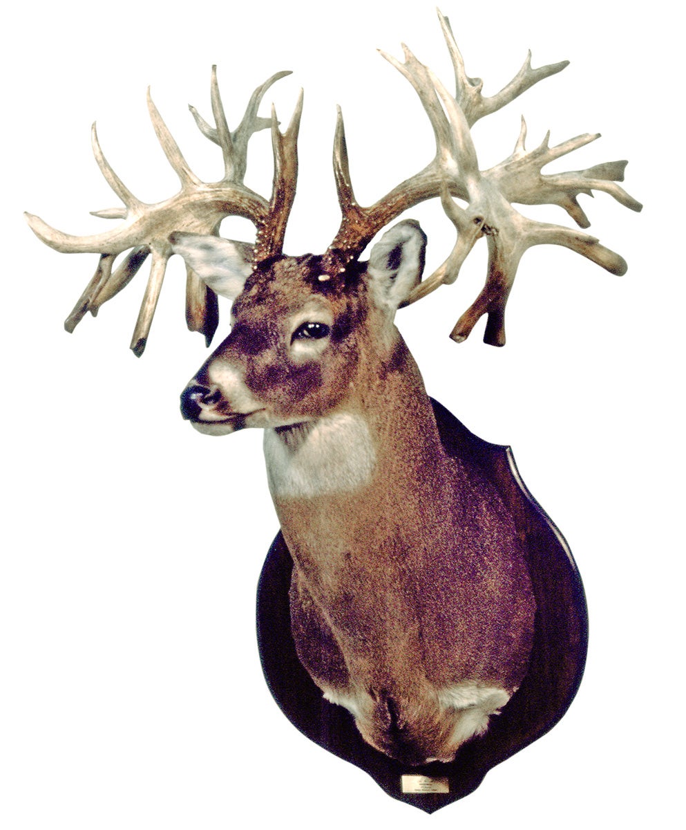 Record non-typical whitetail from MO