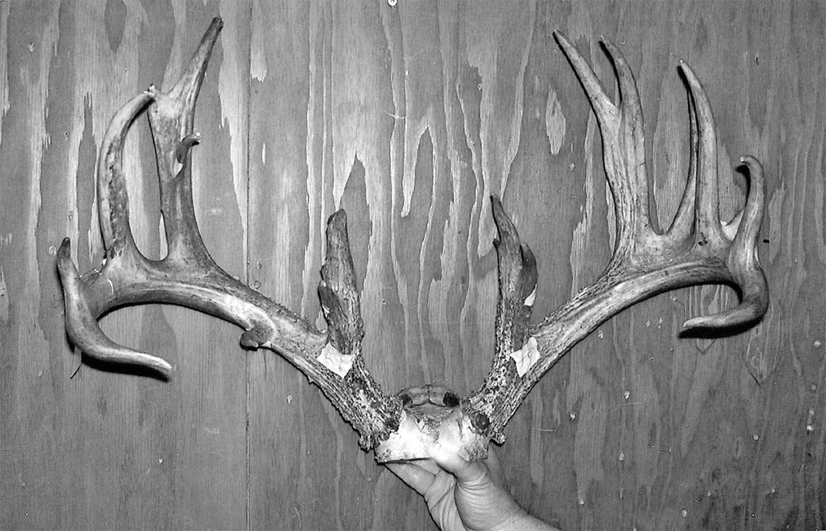 Record non-typical whitetail from OR.