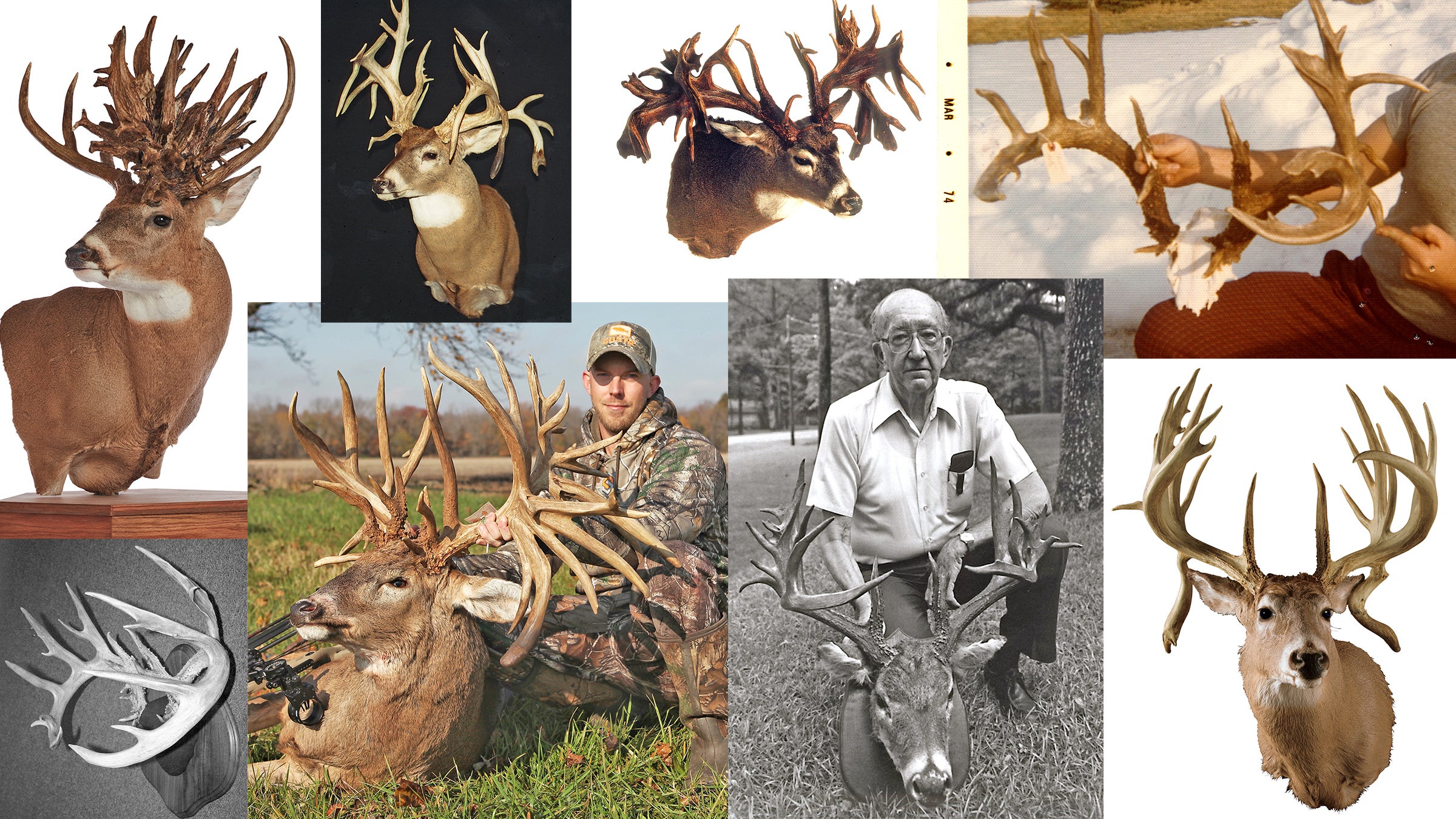The recent N.J. Record State Typical - Jersey's BIG BUCKS