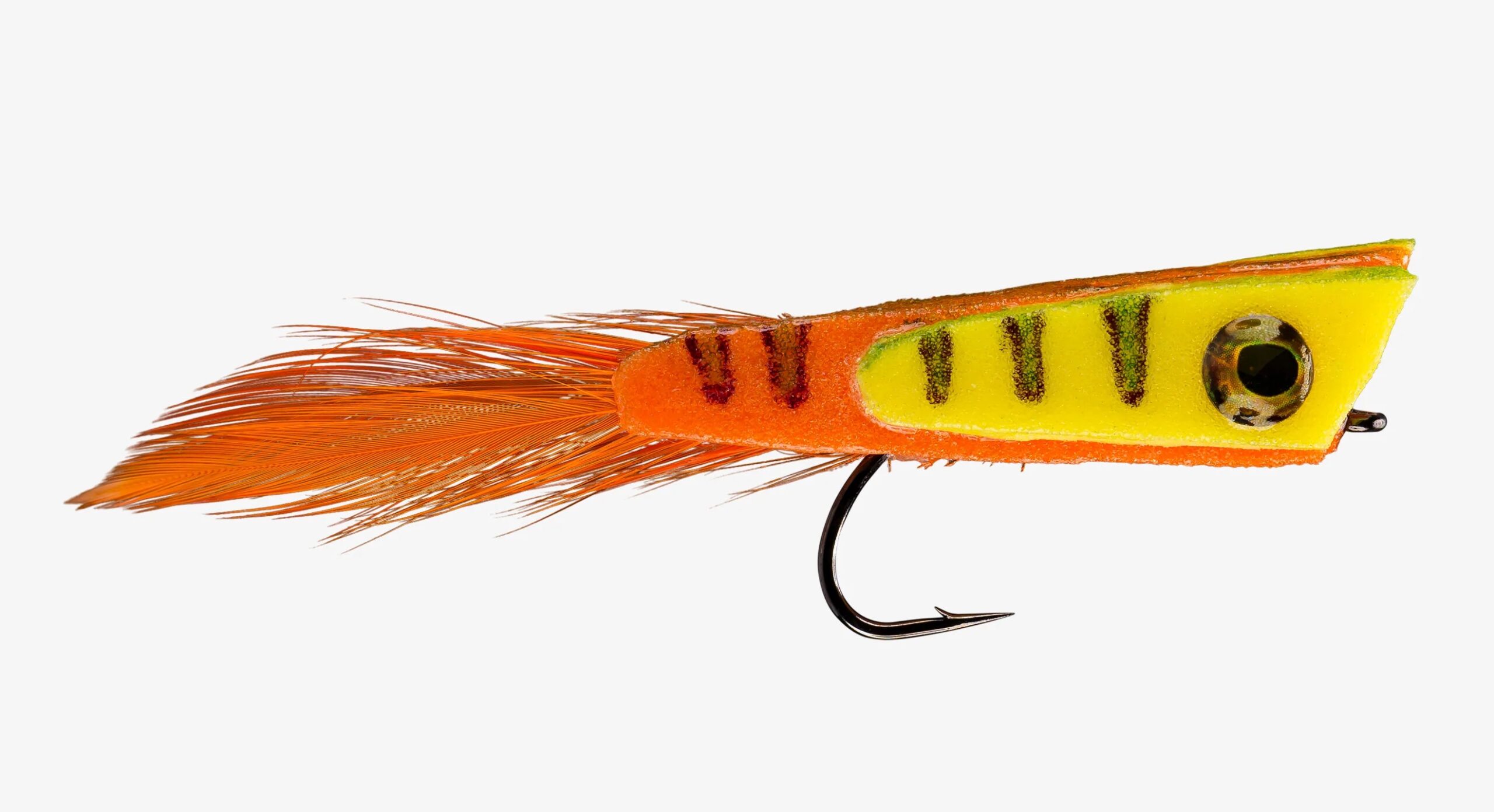 photo of surface pike fly