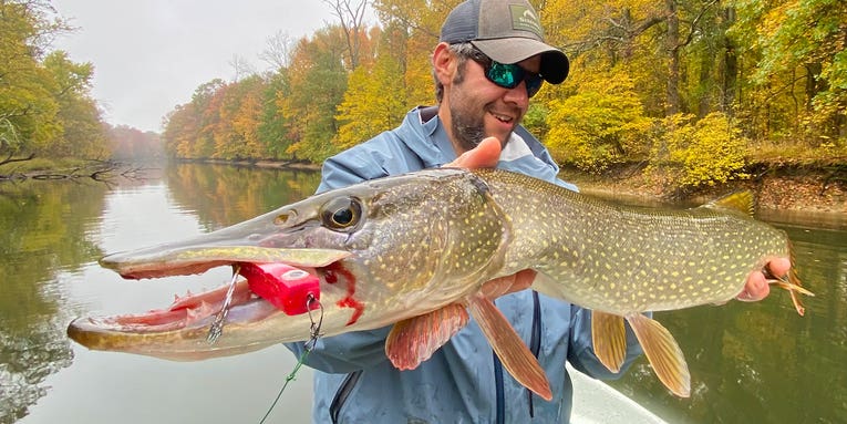 How To Catch Big Fall Pike On Surface Flies