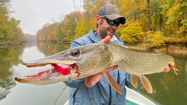How To Catch Big Fall Pike On Surface Flies