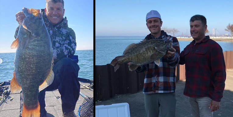 Angler's Giant Lake Erie Record Smallmouth Bass Was Shockingly Old