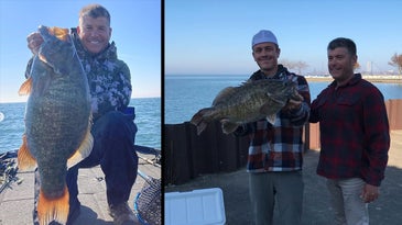 Angler’s Giant Lake Erie Record Smallmouth Bass Was Shockingly Old
