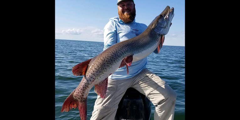 Angler Catches and Releases 58.25-Inch Minnesota State Record Muskie