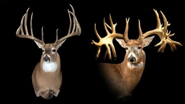 The Most Famous Whitetail Bucks Ever Taken (or Found)