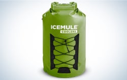 ICEMULE Pro X-Large pack cooler