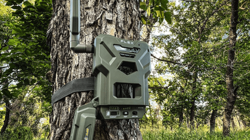 Get Our Favorite SpyPoint Cellular Trail Cam for $50 Off on Black Friday