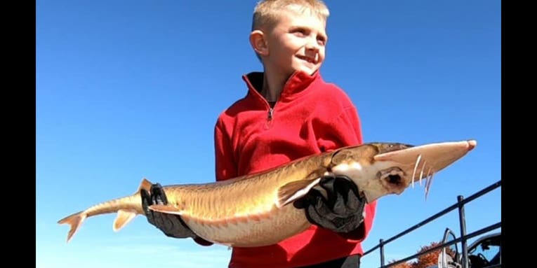 8-Year-Old Angler Catches Potential World Record Shovelnose Sturgeon